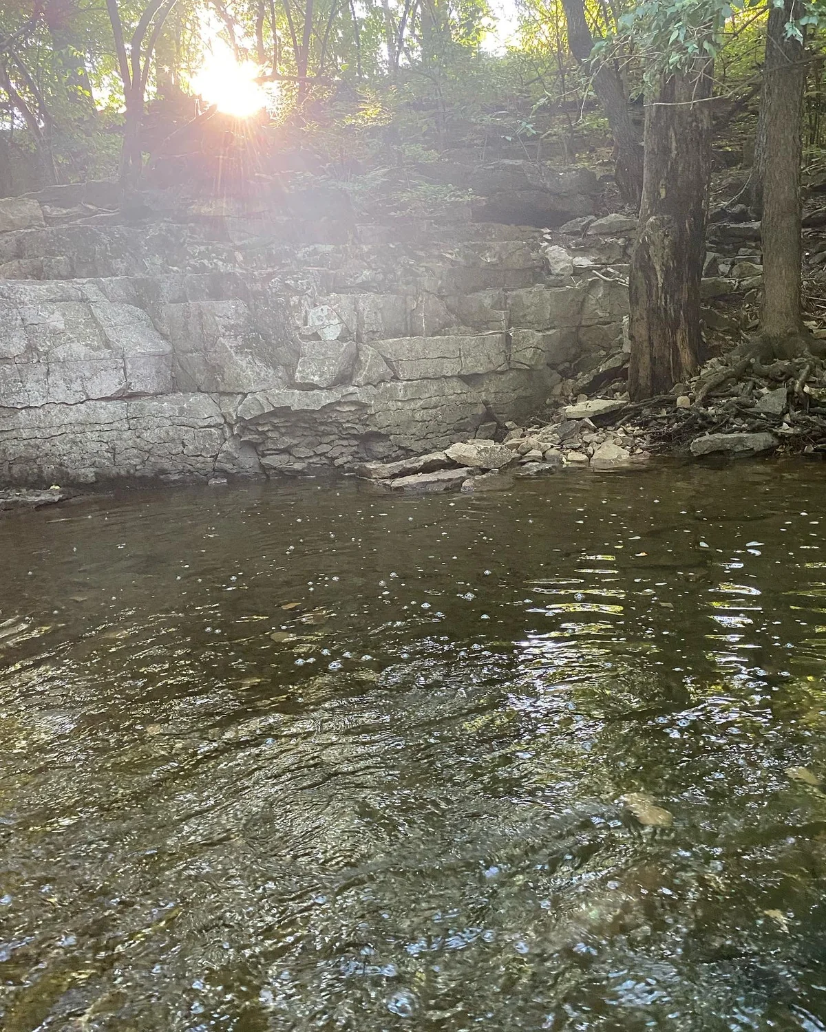 Sunlight above a quiet woodland stream